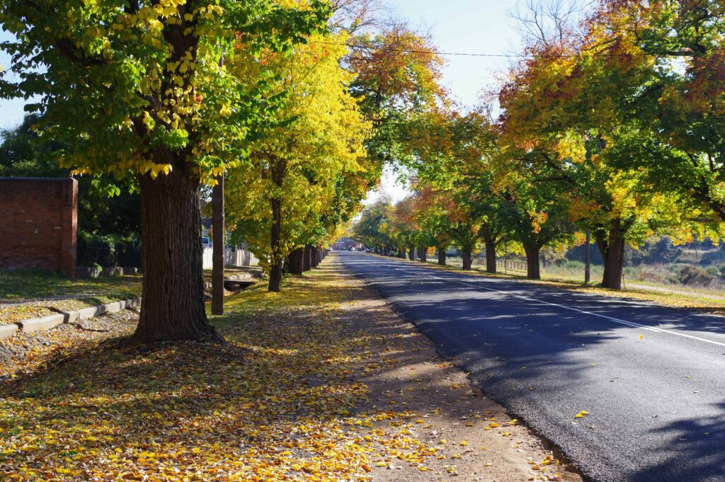 Hidden Victorian Towns: 15 Charming Destinations for an Unforgettable Road Trip