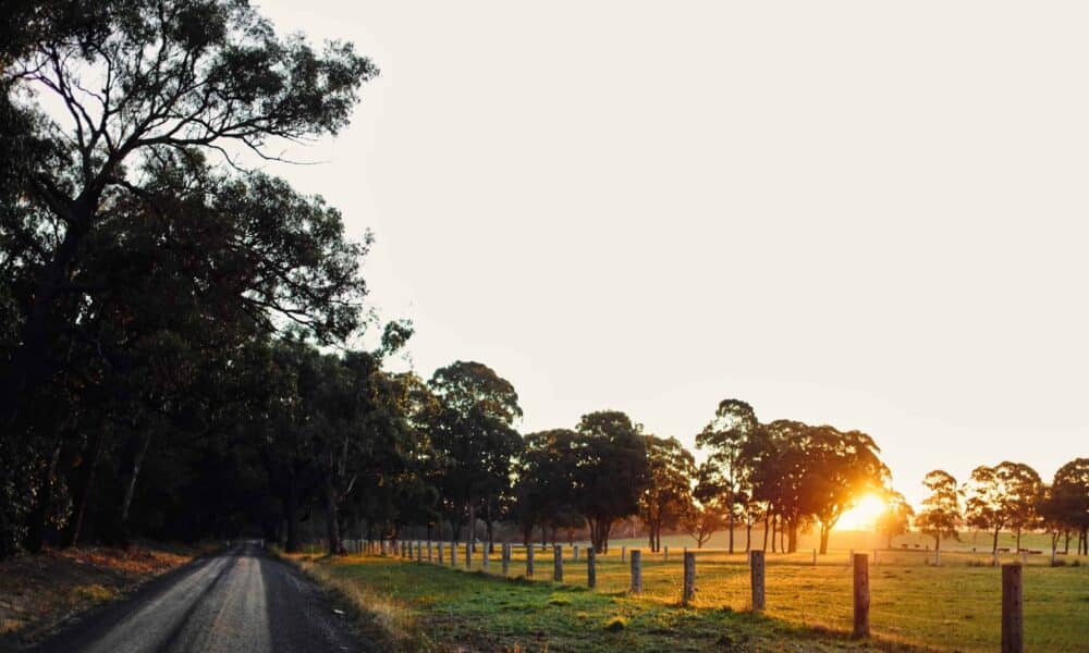 Park view in off grid