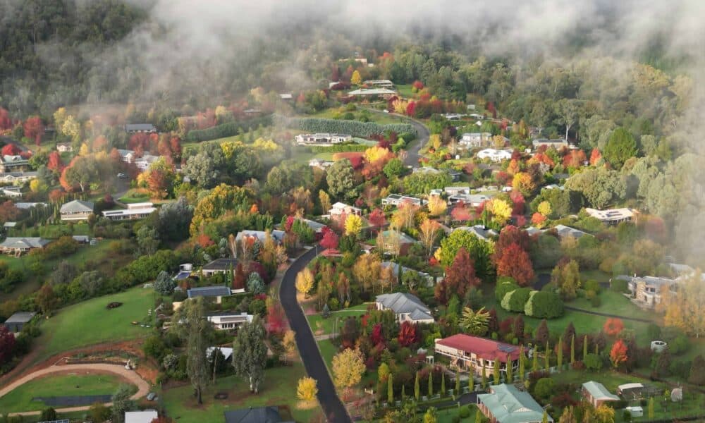 Bright, Victoria under mist